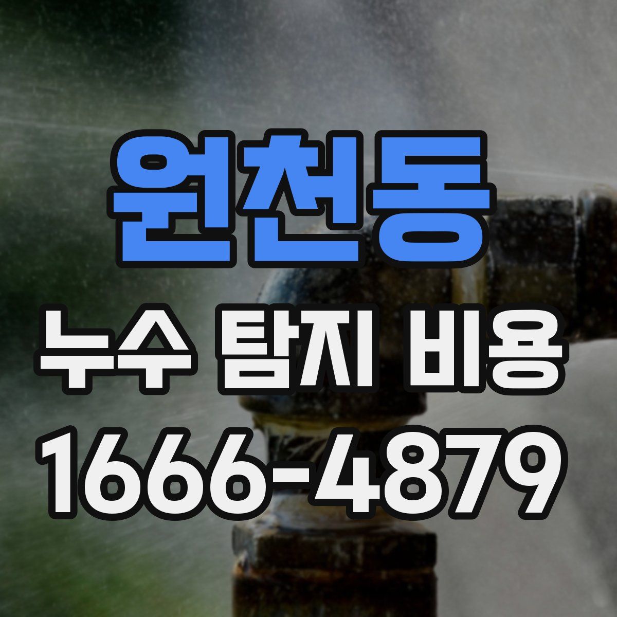 원천동 누수 탐지 비용