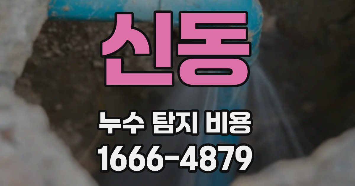 신동 누수 탐지 비용