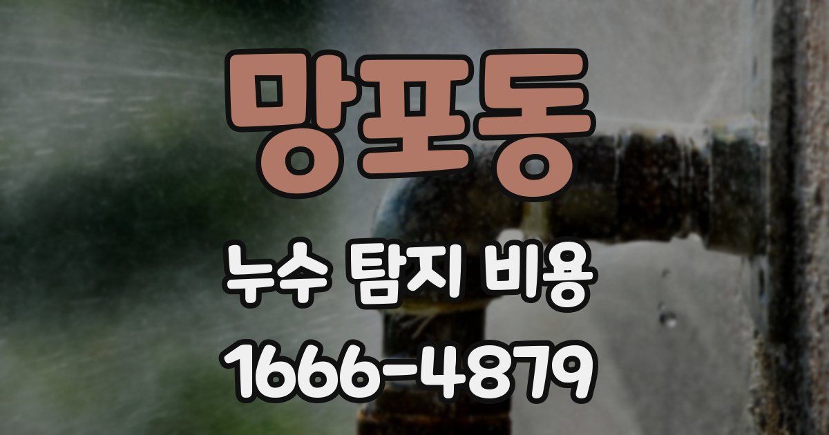 망포동 누수 탐지 비용