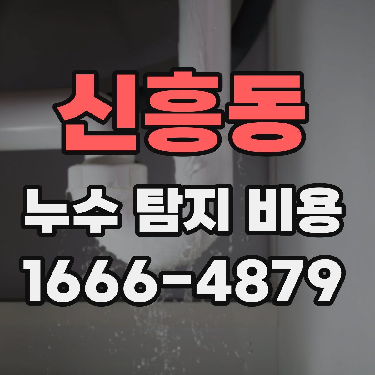 신흥동 누수 탐지 비용
