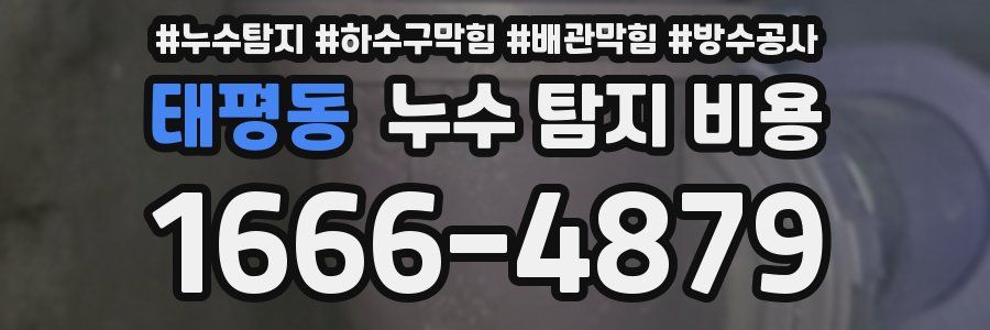 태평동 누수 탐지 비용