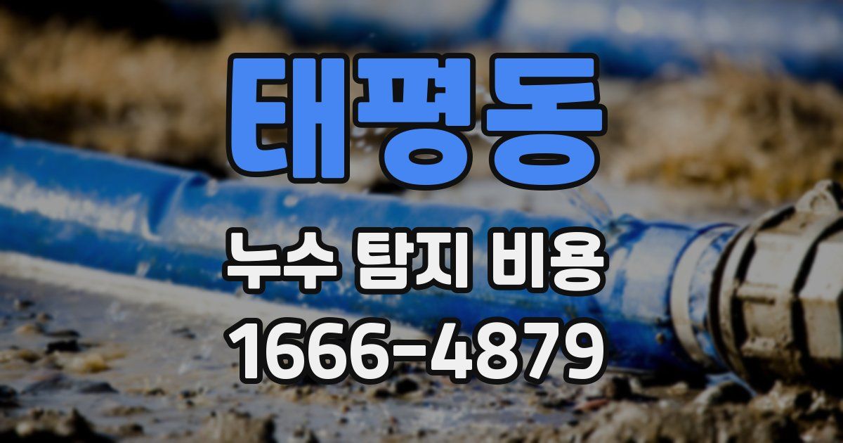 태평동 누수 탐지 비용