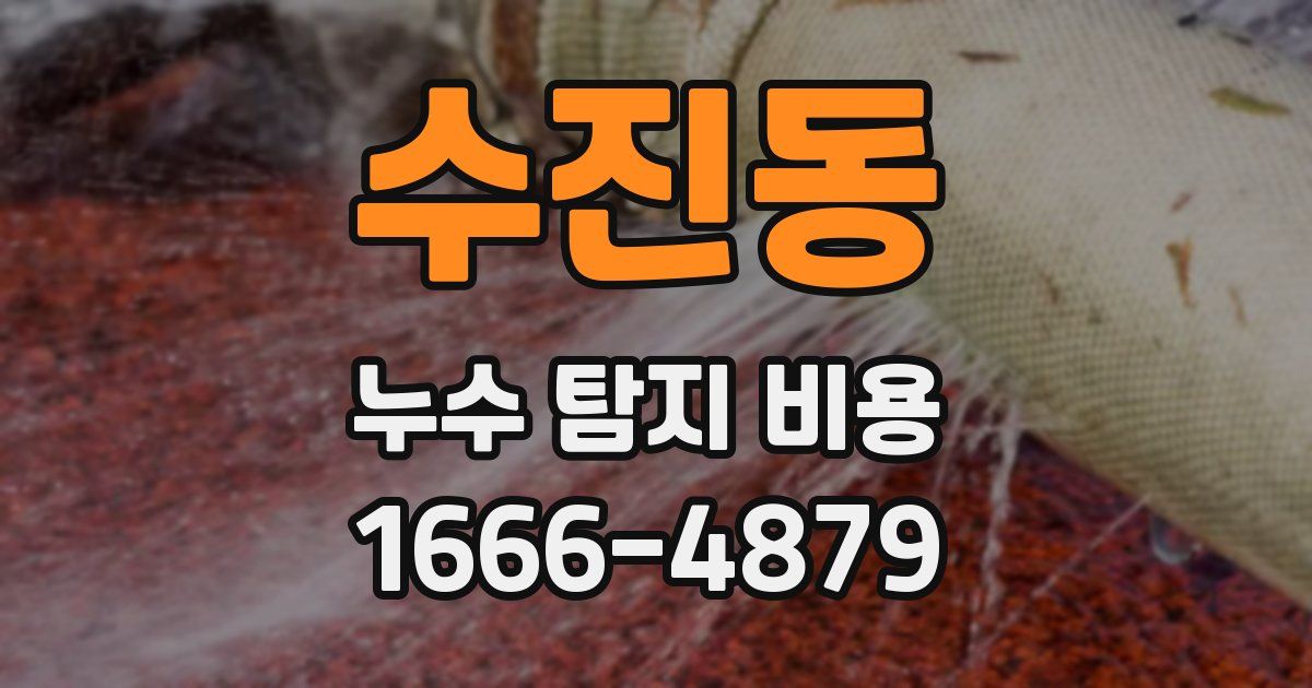 수진동 누수 탐지 비용