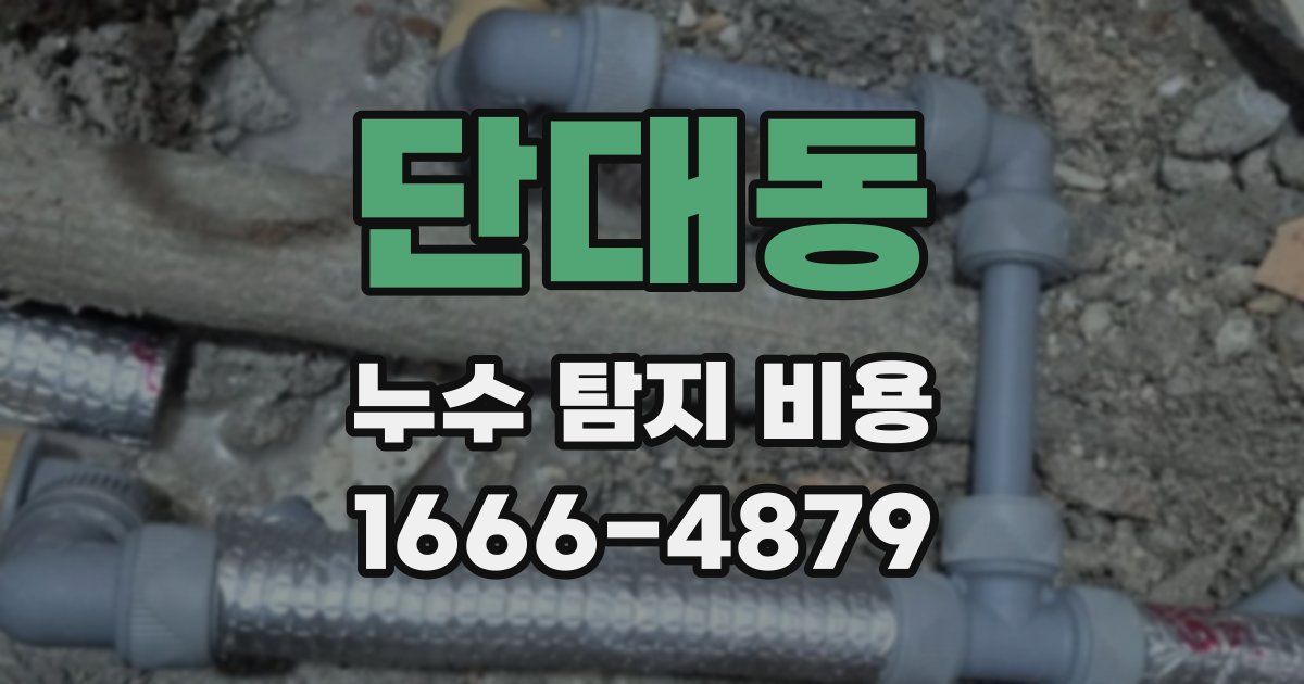 단대동 누수 탐지 비용