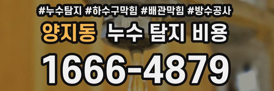 양지동 누수 탐지 비용