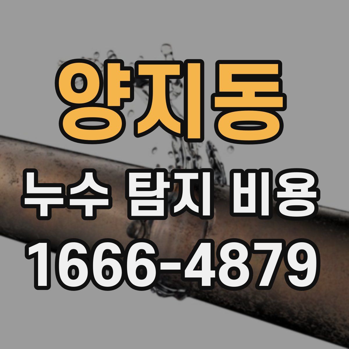 양지동 누수 탐지 비용
