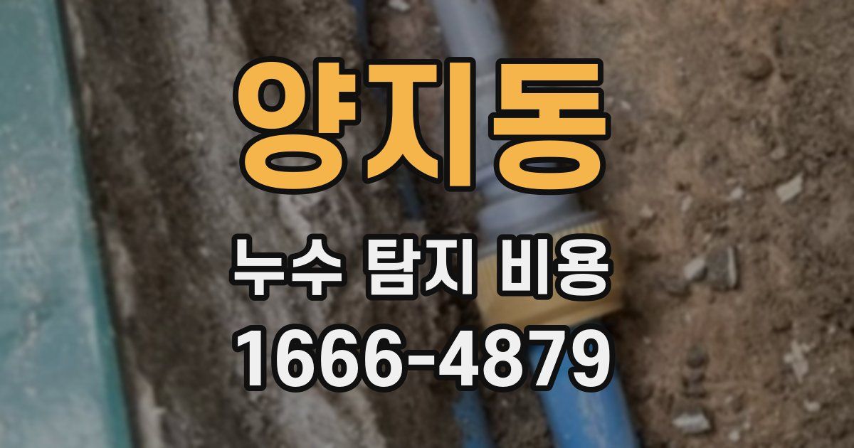 양지동 누수 탐지 비용