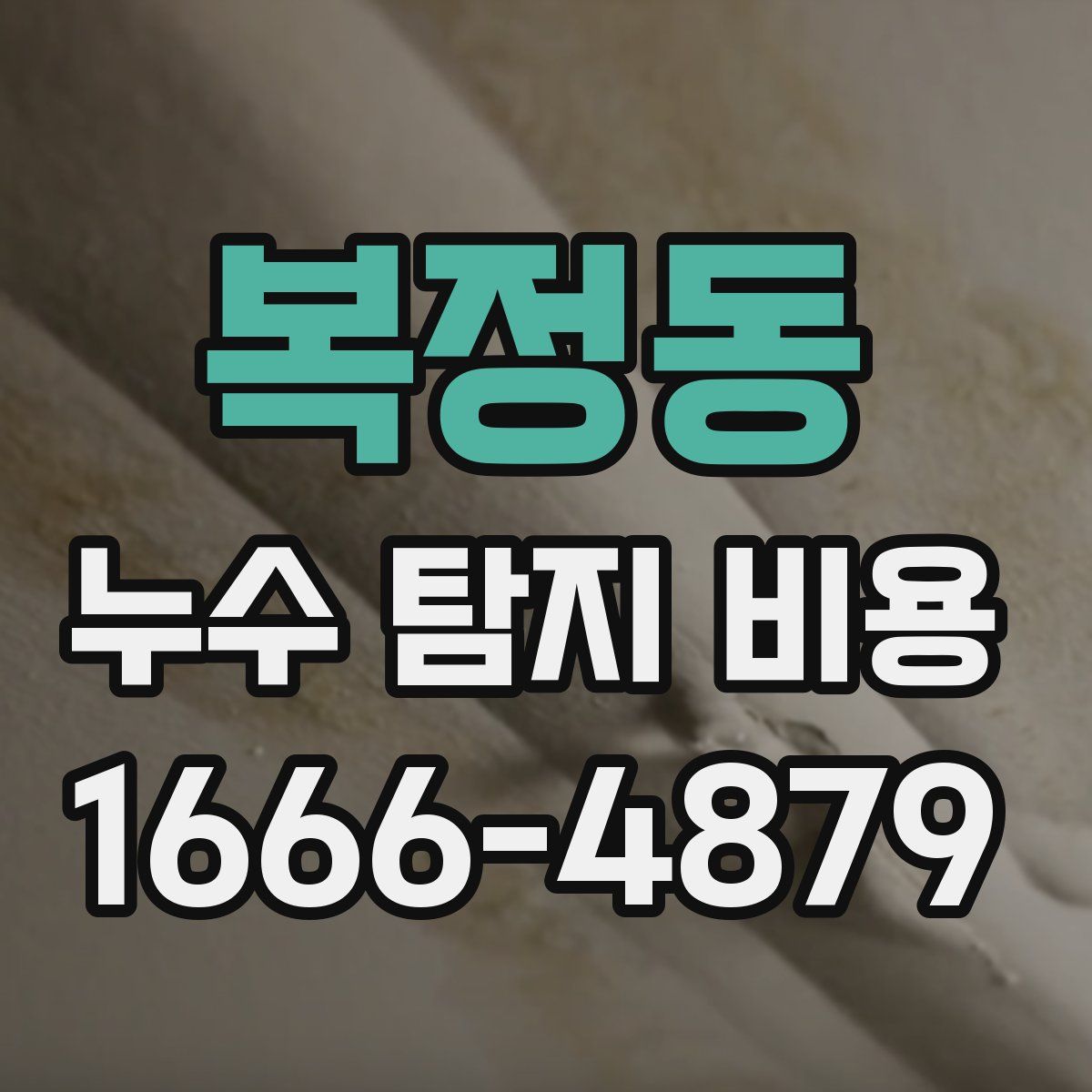 복정동 누수 탐지 비용