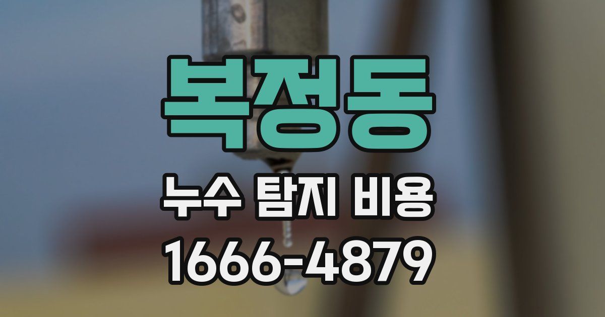 복정동 누수 탐지 비용