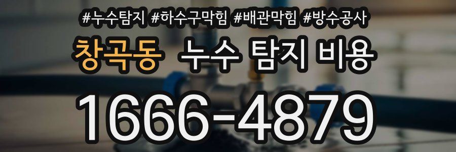 창곡동 누수 탐지 비용