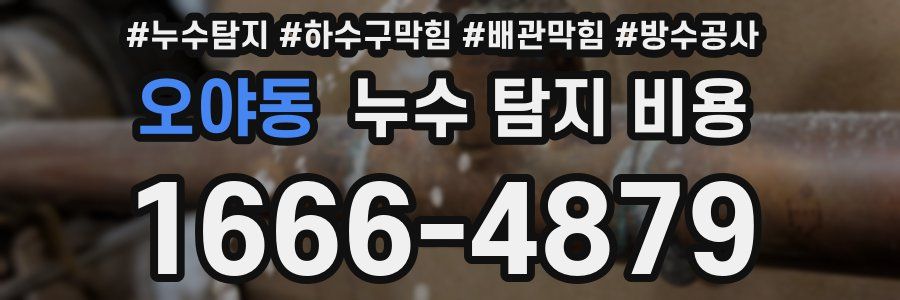 오야동 누수 탐지 비용