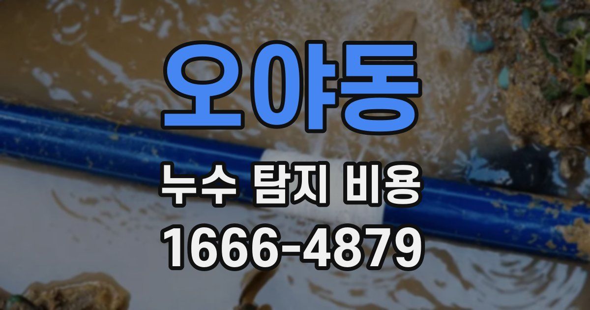 오야동 누수 탐지 비용