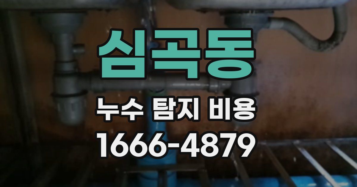 심곡동 누수 탐지 비용
