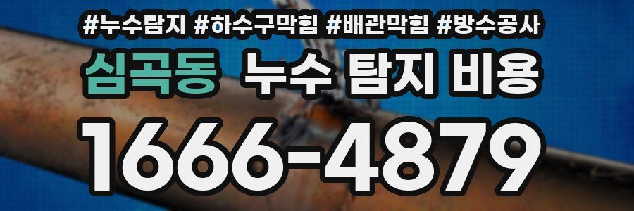 심곡동 누수 탐지 비용