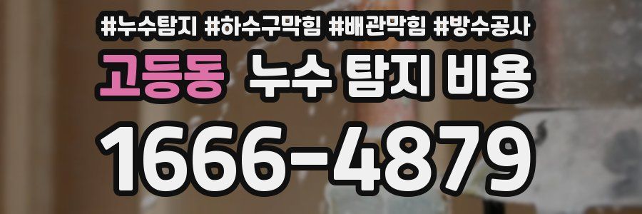 고등동 누수 탐지 비용