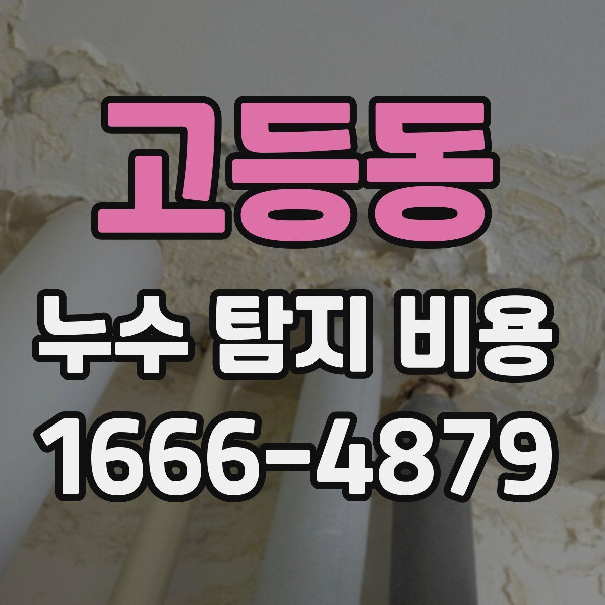 고등동 누수 탐지 비용