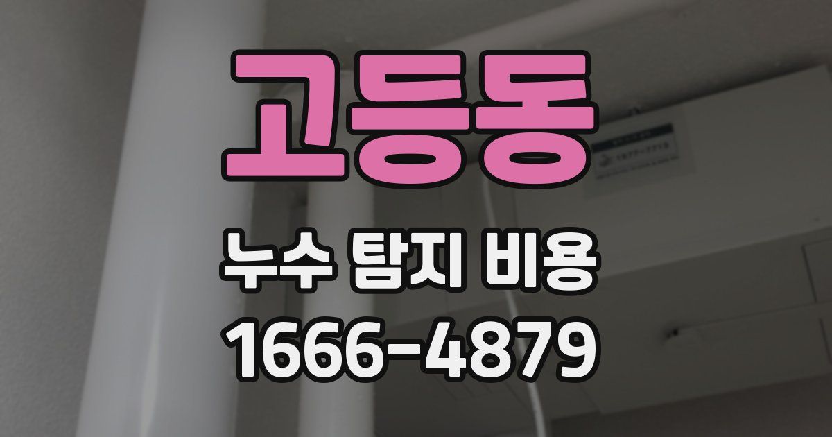 고등동 누수 탐지 비용