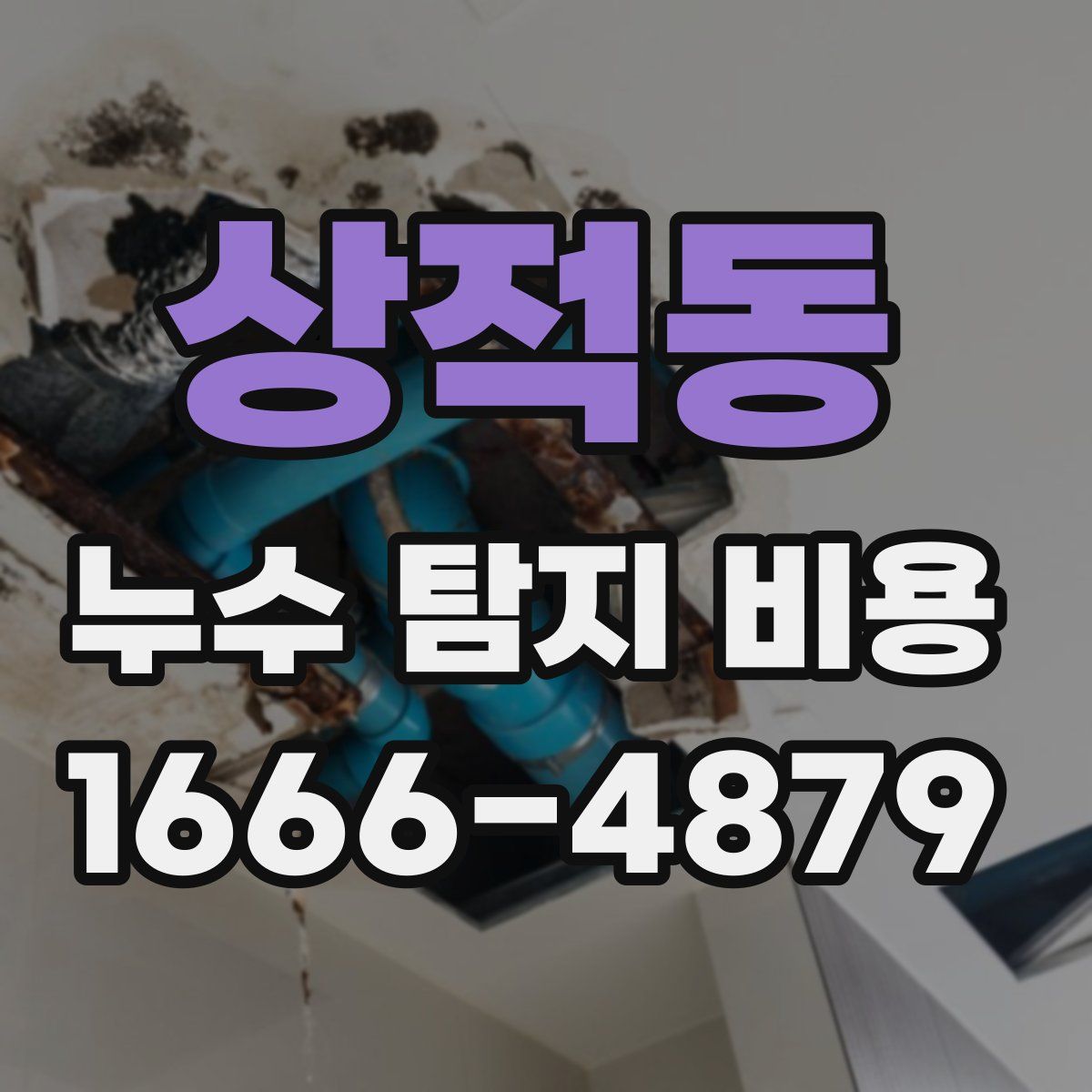 상적동 누수 탐지 비용
