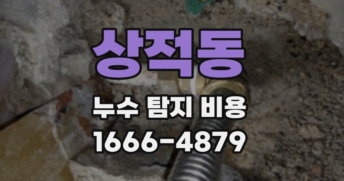 상적동 누수 탐지 비용