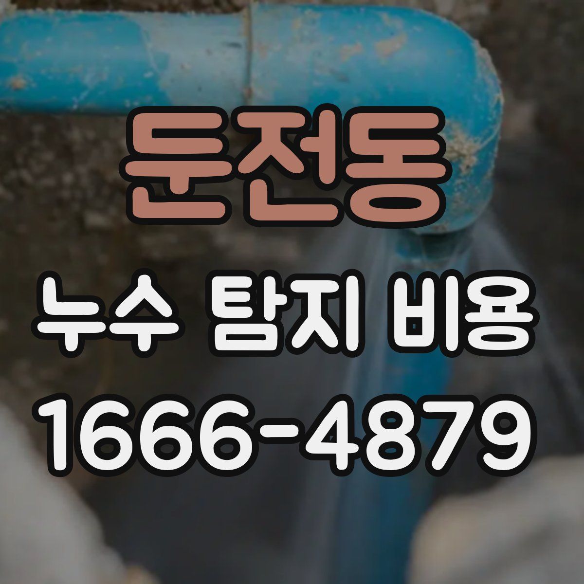 둔전동 누수 탐지 비용