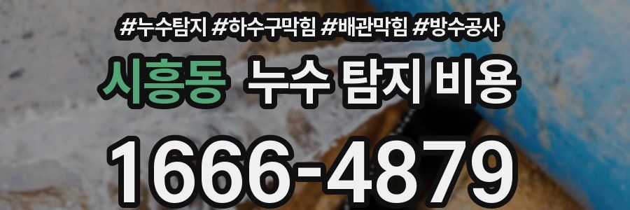 시흥동 누수 탐지 비용