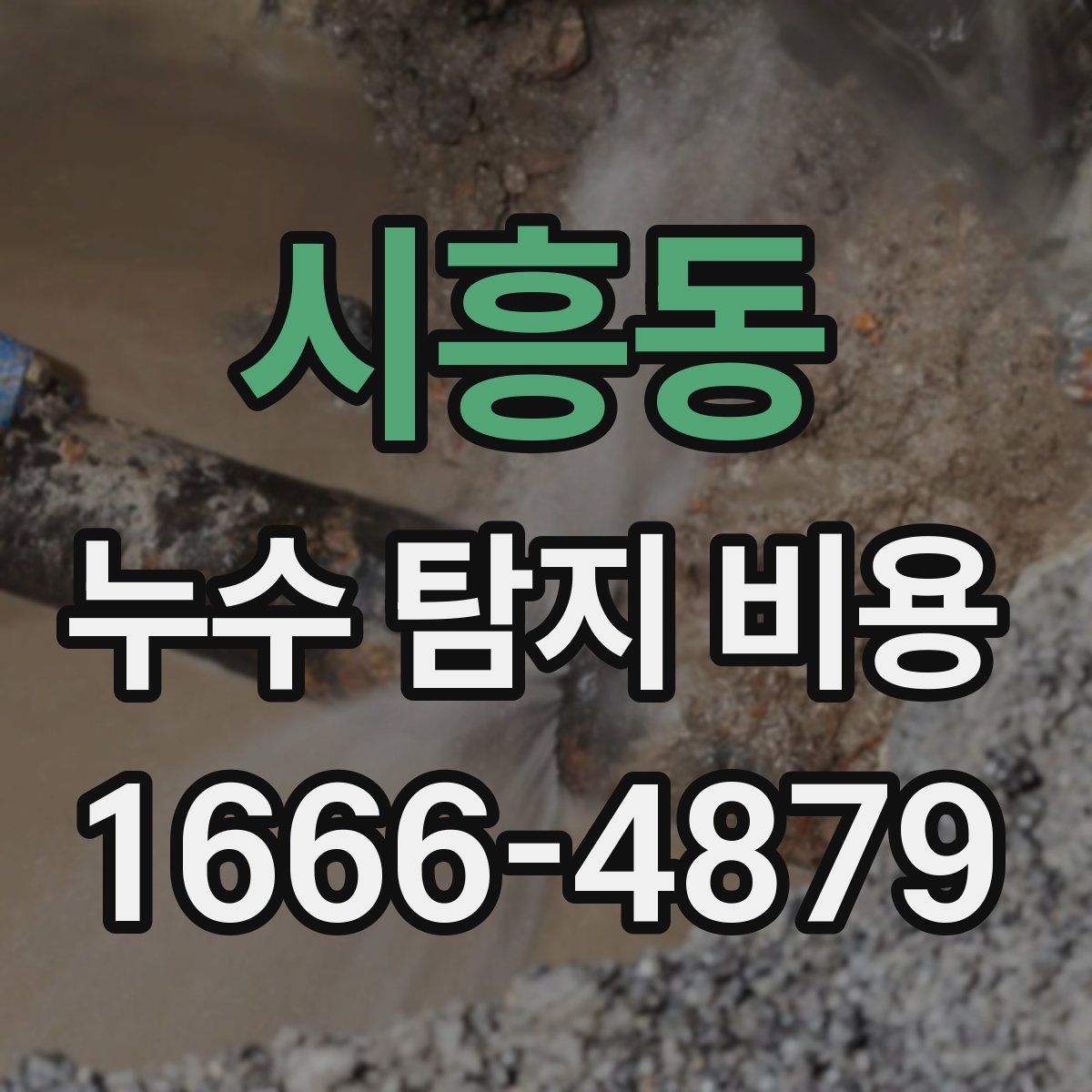 시흥동 누수 탐지 비용