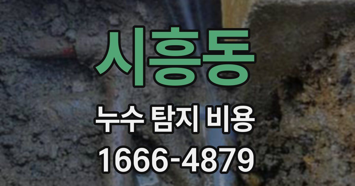 시흥동 누수 탐지 비용