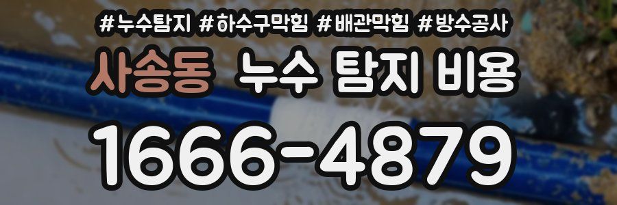 사송동 누수 탐지 비용