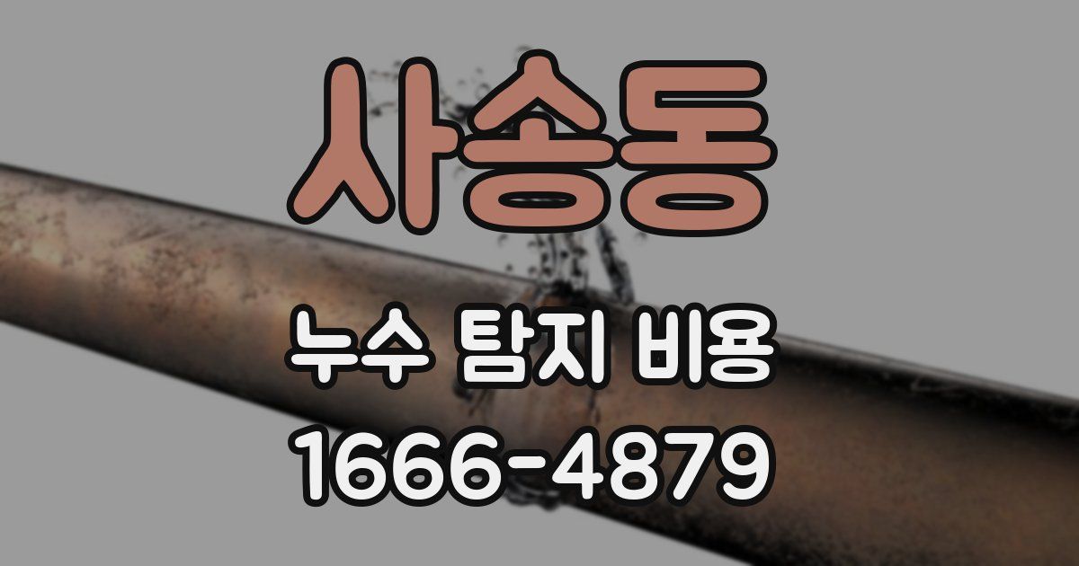 사송동 누수 탐지 비용