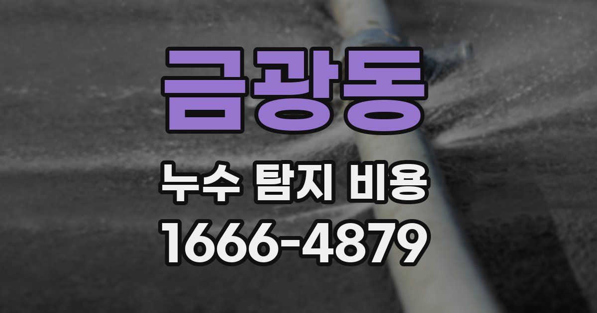 금광동 누수 탐지 비용