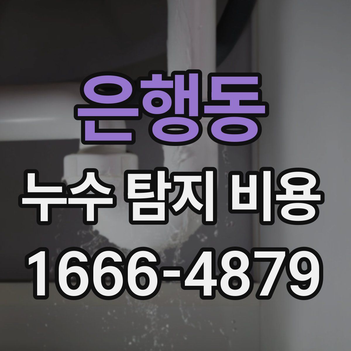 은행동 누수 탐지 비용