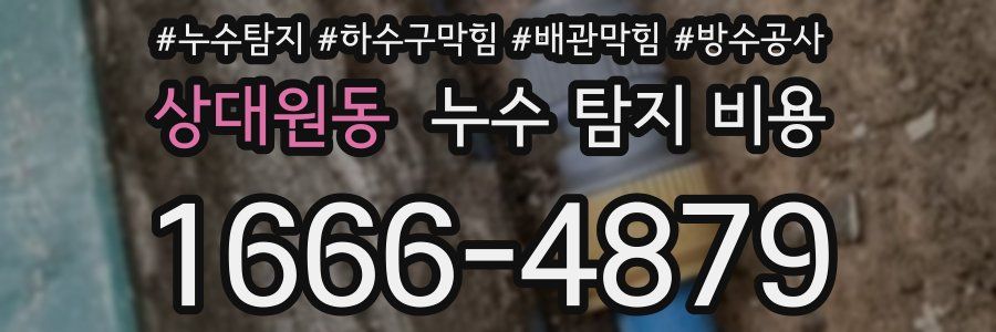 상대원동 누수 탐지 비용