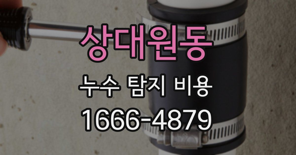 상대원동 누수 탐지 비용