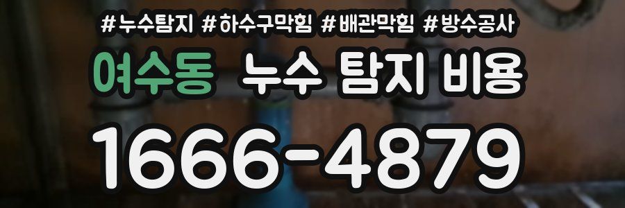 여수동 누수 탐지 비용