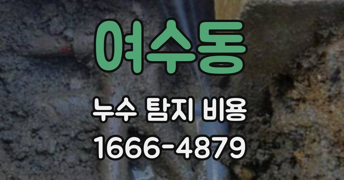 여수동 누수 탐지 비용