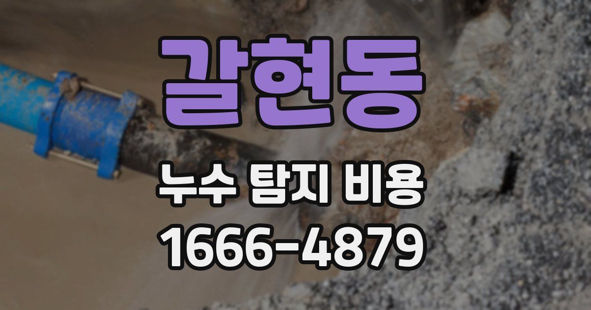 갈현동 누수 탐지 비용