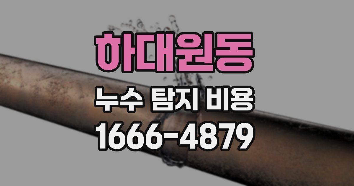 하대원동 누수 탐지 비용