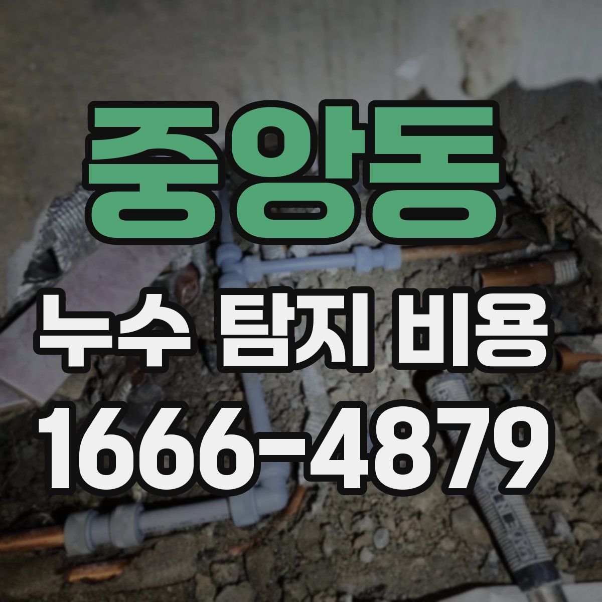 중앙동 누수 탐지 비용