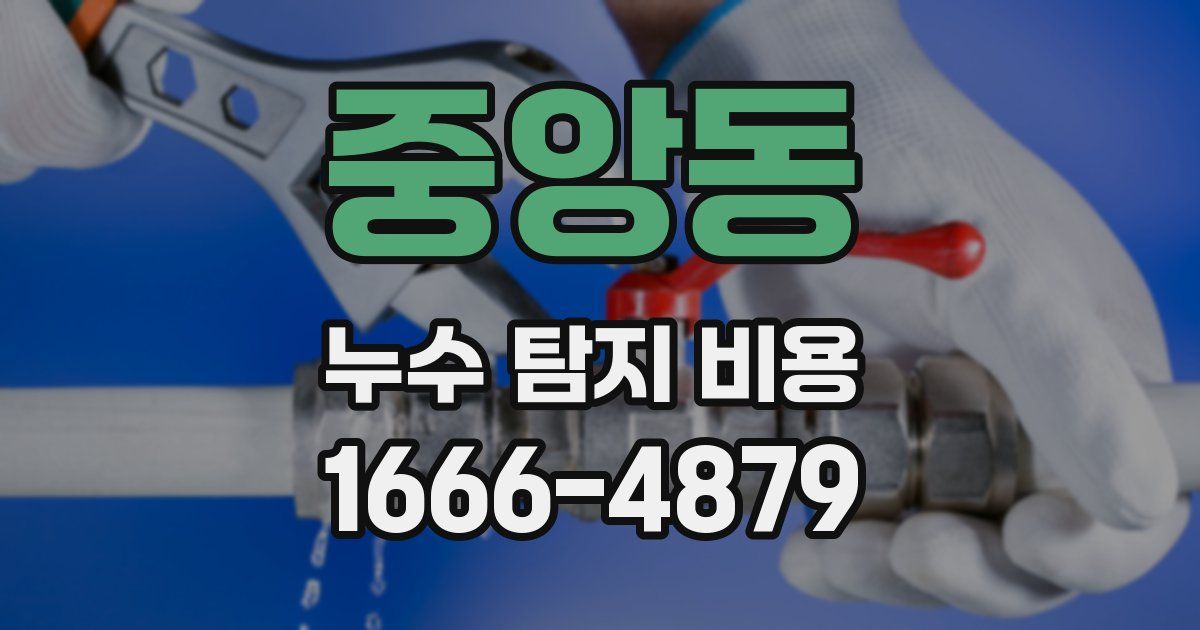 중앙동 누수 탐지 비용