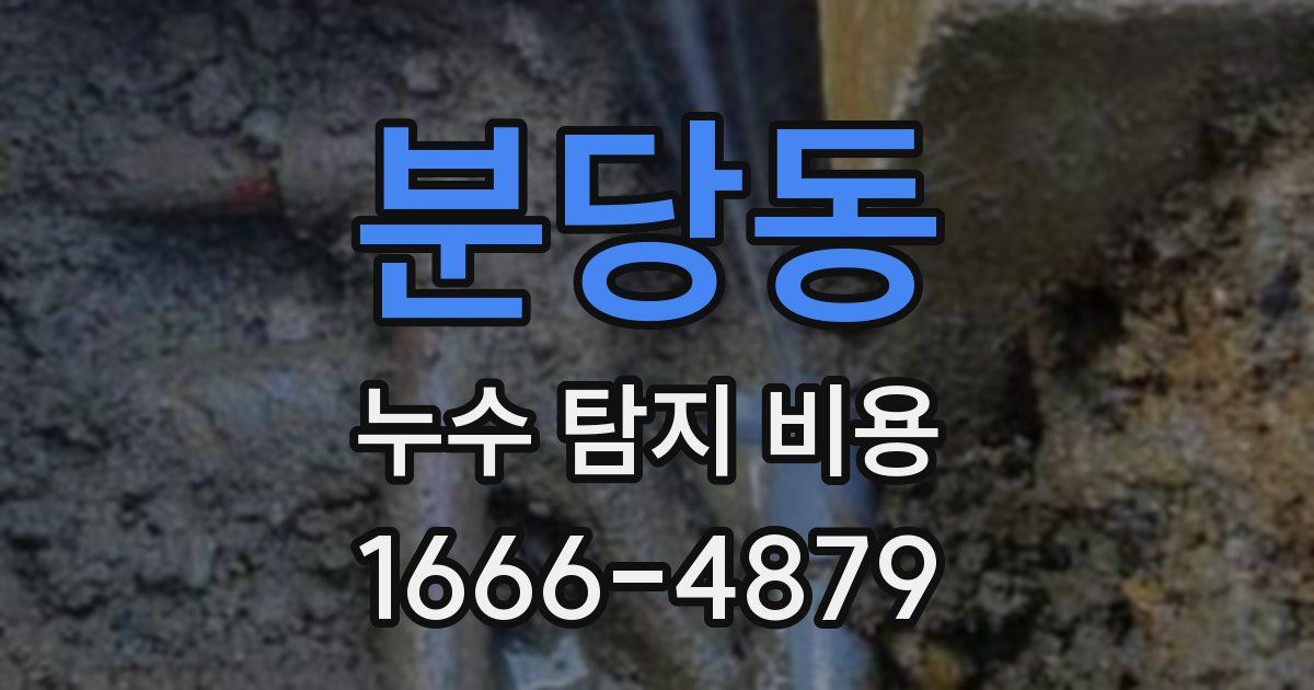 분당동 누수 탐지 비용
