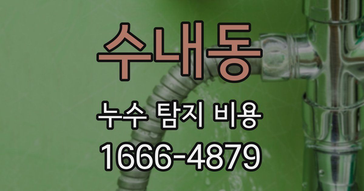 수내동 누수 탐지 비용