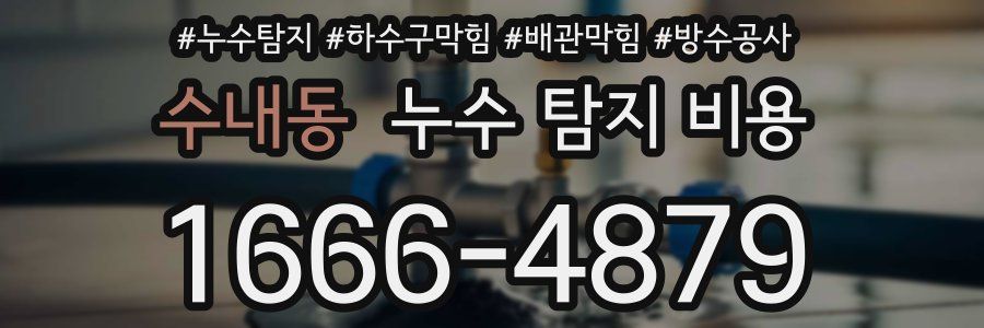 수내동 누수 탐지 비용