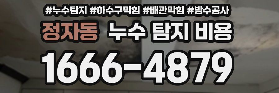 정자동 누수 탐지 비용