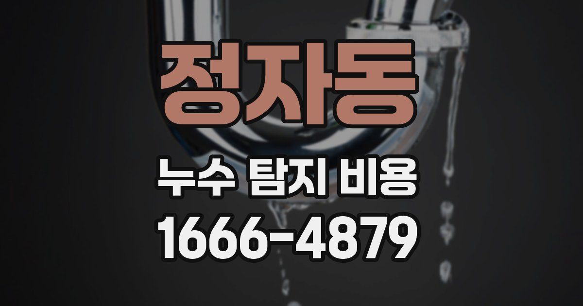정자동 누수 탐지 비용