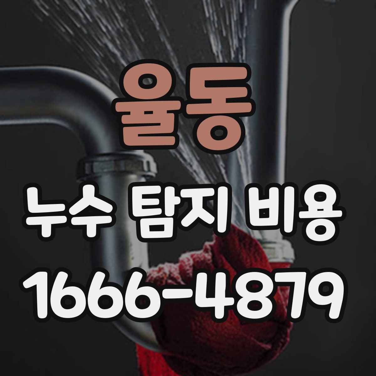 율동 누수 탐지 비용