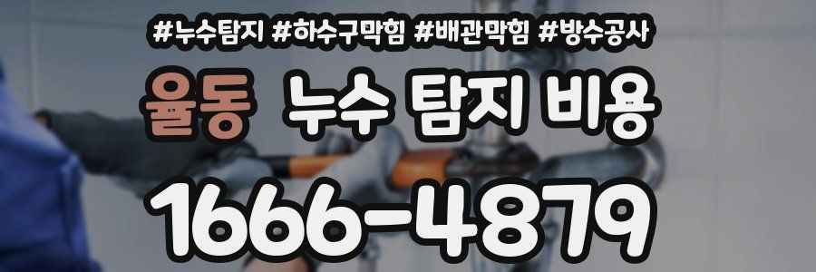 율동 누수 탐지 비용