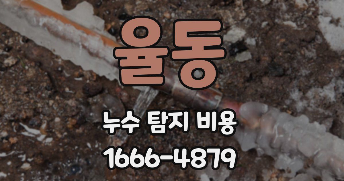 율동 누수 탐지 비용