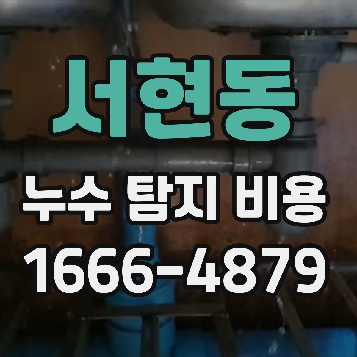 서현동 누수 탐지 비용