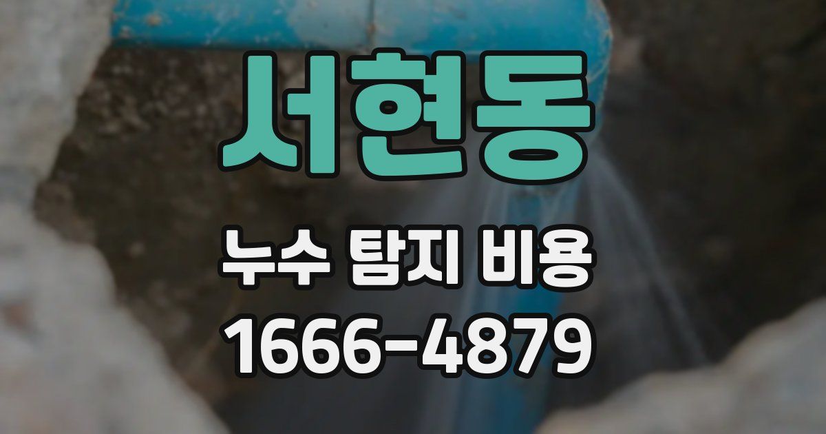 서현동 누수 탐지 비용