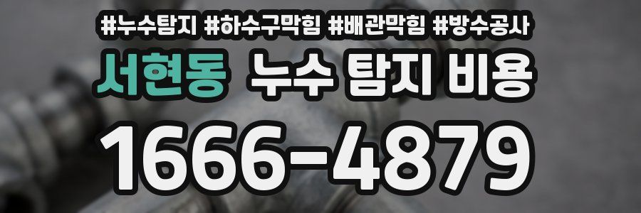 서현동 누수 탐지 비용